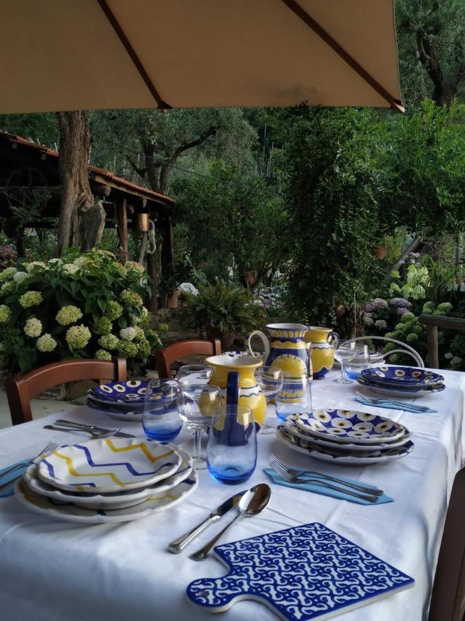 Da Rosali Bed and Breakfast Σορέντο Εξωτερικό φωτογραφία